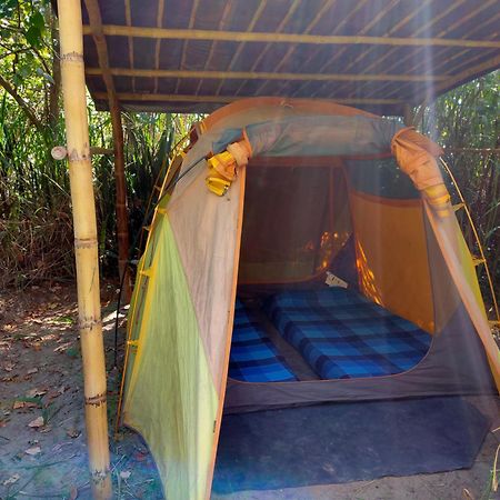 Rumi Wilco Ecolodge & Nature Reserve-Cabanas & Camping ビルカバンバ エクステリア 写真