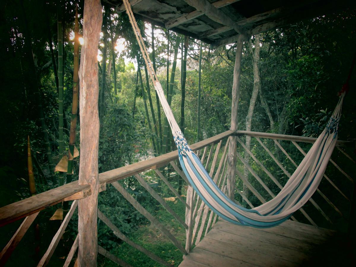 Rumi Wilco Ecolodge & Nature Reserve-Cabanas & Camping ビルカバンバ エクステリア 写真