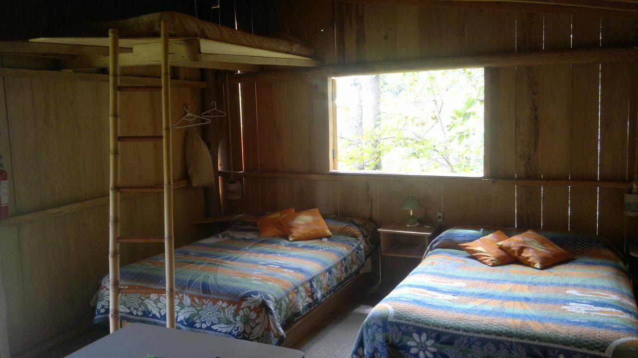 Rumi Wilco Ecolodge & Nature Reserve-Cabanas & Camping ビルカバンバ エクステリア 写真